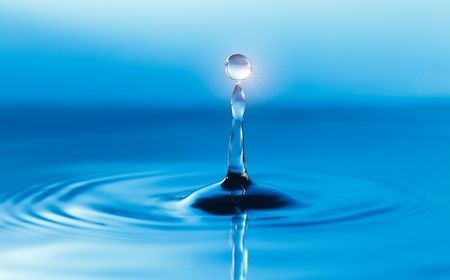 Need To Filter Your Water? Use Tree Bark!