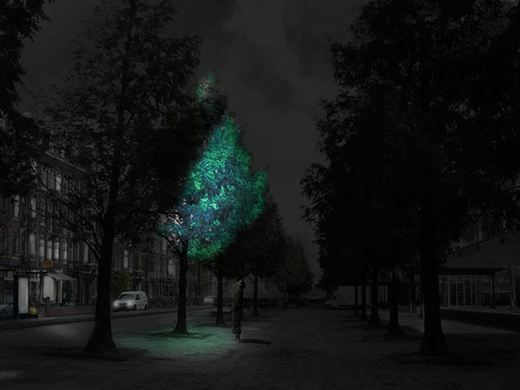 Dutch Designer Aspires To Replace Street Lights With Glow-in-The-Dark Trees