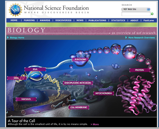 The Biology Of A Cell